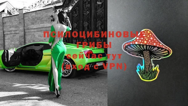 а пвп мука Кукмор