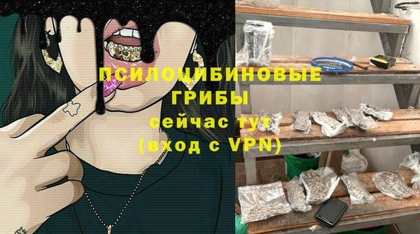 а пвп мука Кукмор