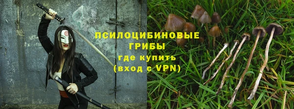 а пвп мука Кукмор