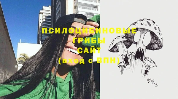 мяу мяу мука Кулебаки